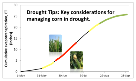 Drought Tips Graph